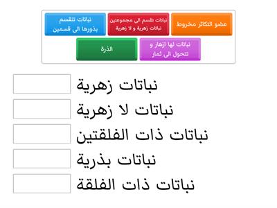 تصنيف النباتات