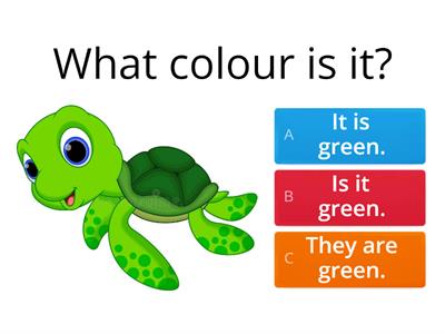 P.1 Unit 4- What colour is it ? What colour are they?