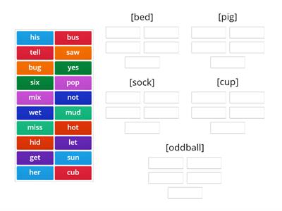 Short E, I, O, and U in easy CVC words [wtw 40 alphabetic spellers]