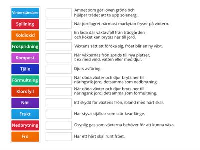 Naturen på hösten