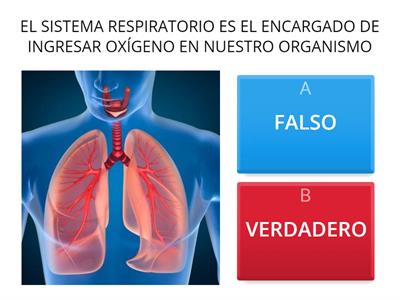 SISTEMA RESPIRATORIO