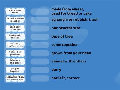 Homophones clues Match up