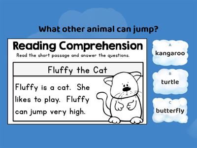 Fluffy the Cat (Reading Comprehension shorts)