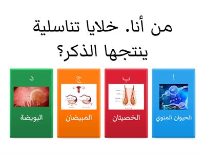 من أنا (الجهاز التناسلي الذكري والانثوي)؟