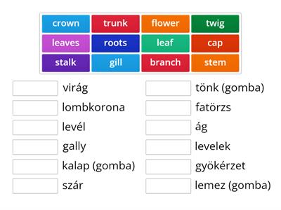 PARTS OF THE PLANTS VOCABULARY