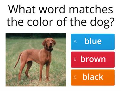Color words