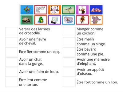 LES EXPRESSIONS AVEC LES  ANIMAUX. 