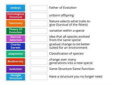 Evolution Vocabulary