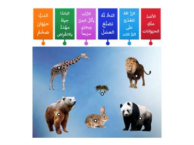 حُبّ الحَيَوانات  Arapça 8