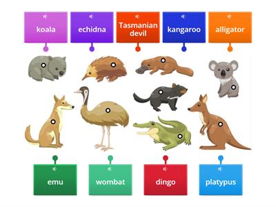Australian Animals Vocabulary