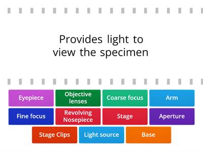 Microscope review