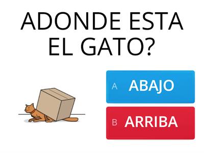 ADONDE ESTA EL GATO ?