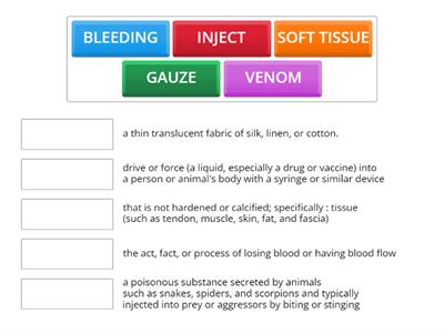 WORDS IN CONTEXT FIRST AID FOR BEGINNERS ACTIVITIES