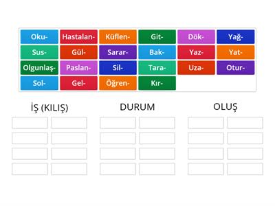 TÜRKÇE FİİLLER 7.SINIF