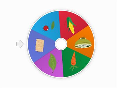 FWF E9 FOOD Spinning Wheel