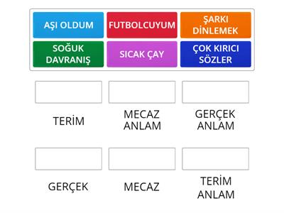 GERÇEK MECAZ VE TERİM ANLAM