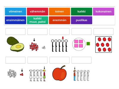 Puheterapia, lukumääriin liittyvät käsitteet