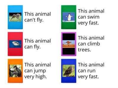animals+can/can`t