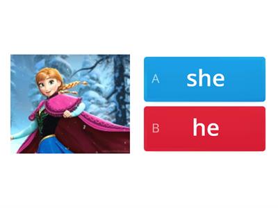 HE/SHE