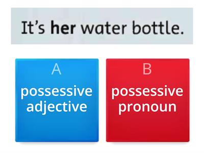 Possessive adjective/pronoun