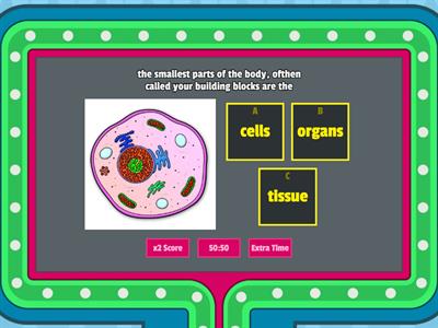 science quizes 10,11,12 third grade 