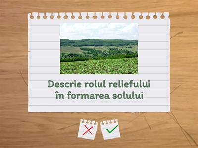 Solul. Factorii de formare a solului