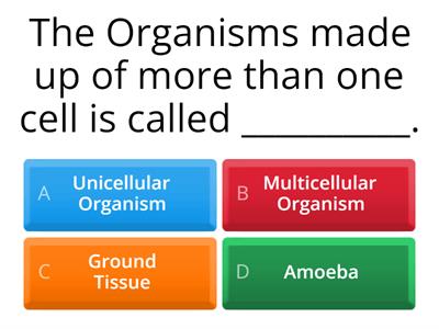 The Cell