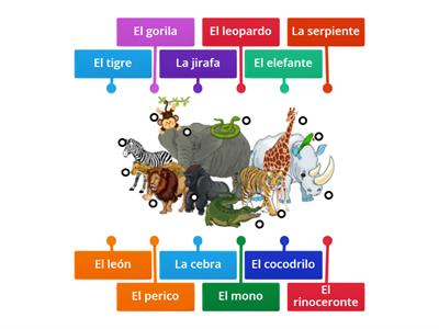 Animales de la selva - Vocabulario 3a