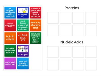 Proteins vs Nucleic Acids