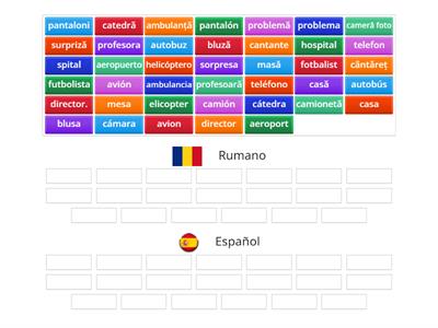 Rumano-Espanol Activitate 2