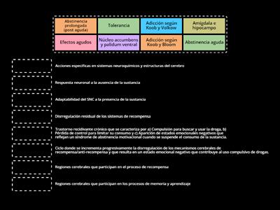 Sobre los fenómenos neurobiológicos en el uso de sustancias adictivas