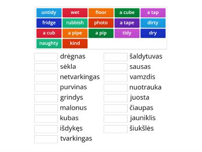 F&F Unit 14. Vocabulary