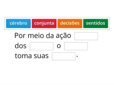 5 Ano - LIÇÃO 22 - COMO PERCEBEMOS O MUNDO: os órgãos dos sentidos B.