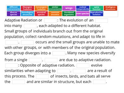 Patterns of Evolution Cloze Reading