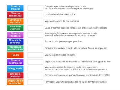 Geografia - vegetação 