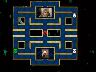 Iniciais dos Animais (labirinto)