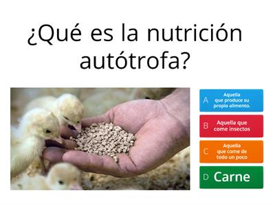 Nutrición WordWll