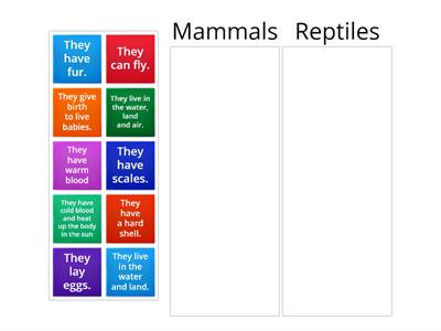 Reptiles X Mammals Match