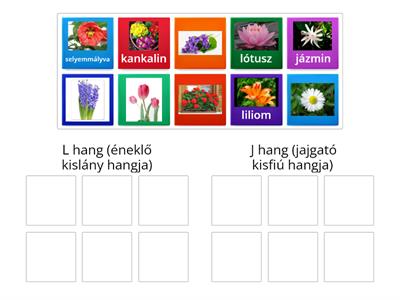 L-J differenciálás virágos1 - Döntsd el, hogy melyik hangot hallod a virágok nevében! 