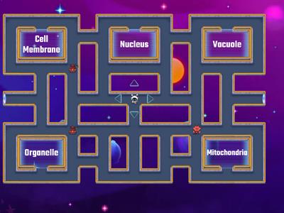 Organelles: Maze Chase