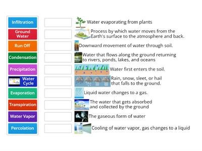 Water Cycle Match Up (5th Grade Science)