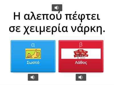 Χειμερία Νάρκη 