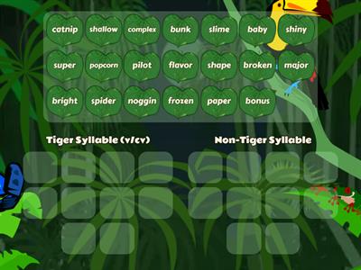 Tiger Syllable (v/cv) vs Non Tiger Syllable Sort