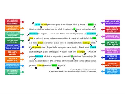 LLR - VII - Activitate diferențiată: Valori morfologice (substantivul, pronumele, verbul)