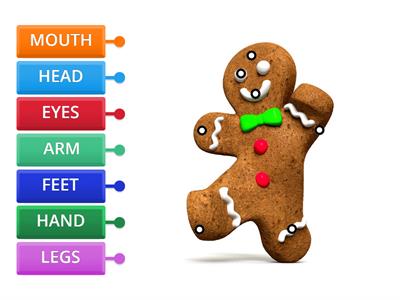 Parts of the body - Gingerbread man