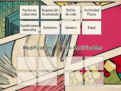 Factores modificables  y no modificables