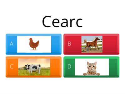 Animals in Irish/ Gaeilge