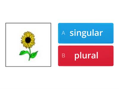 Plural y singular