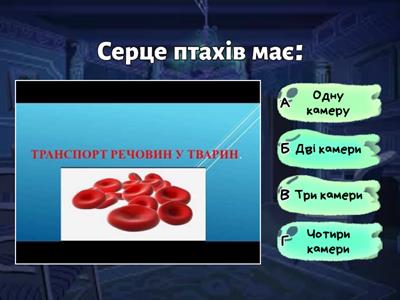 Вікторина «Транспорт речовин у тварин» 7 клас