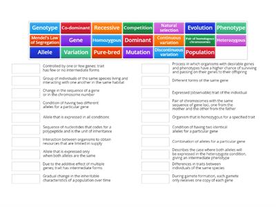 Heredity - Terms to be familiar with